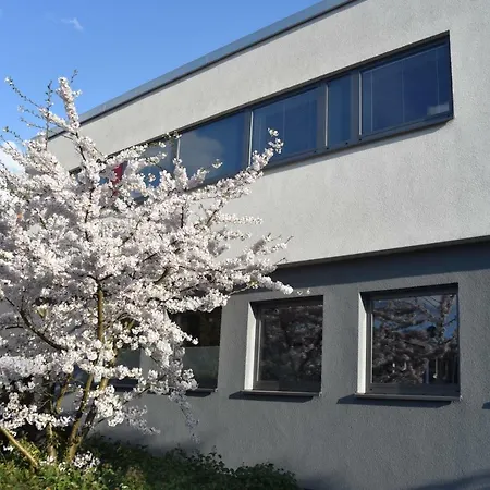 Апартаменты Moderne Wohnung, Nahe Koln, Messewohnung *